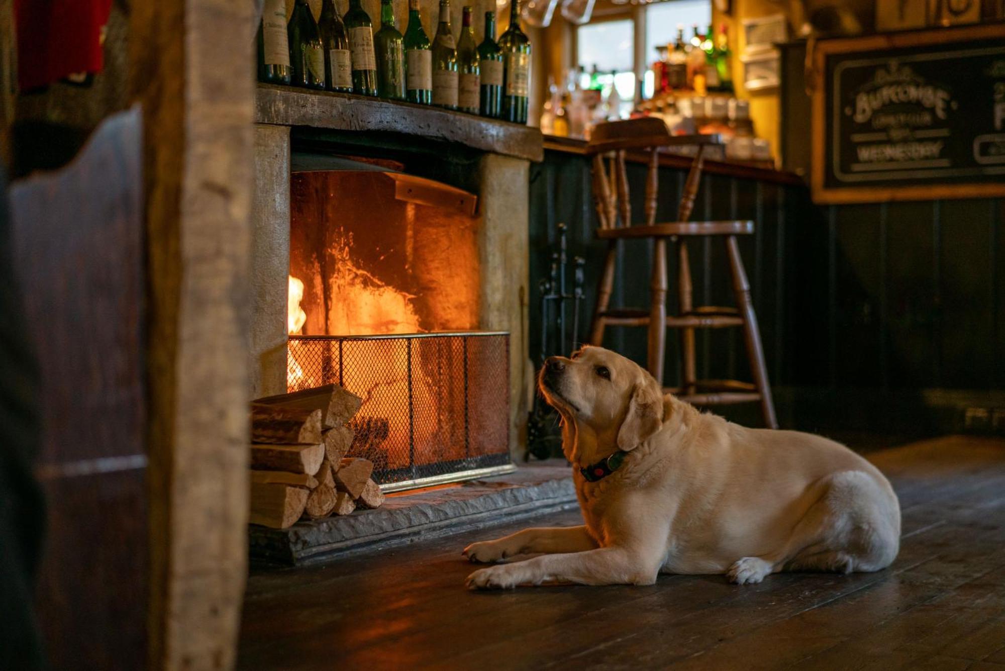 The Anchor Inn Lower Froyle Dış mekan fotoğraf